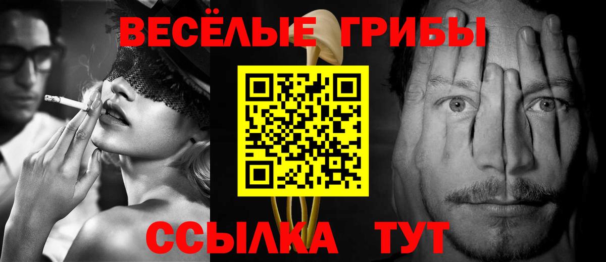 Галлюциногенные грибы Psilocybe Сочи